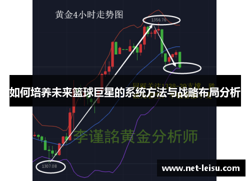 如何培养未来篮球巨星的系统方法与战略布局分析