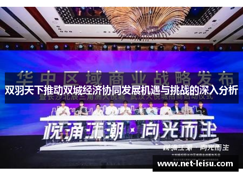 双羽天下推动双城经济协同发展机遇与挑战的深入分析