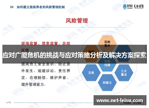 应对广厦危机的挑战与应对策略分析及解决方案探索