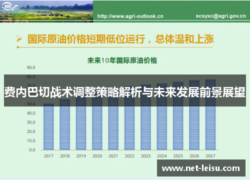 费内巴切战术调整策略解析与未来发展前景展望