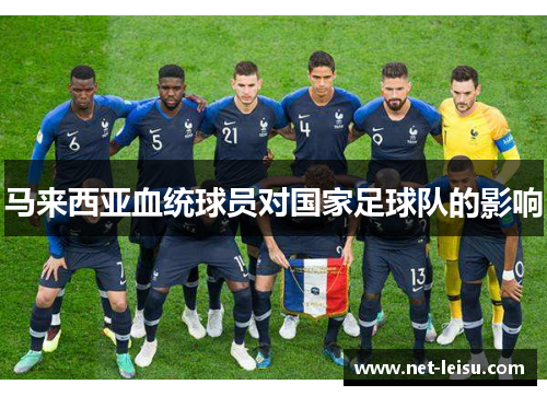 马来西亚血统球员对国家足球队的影响