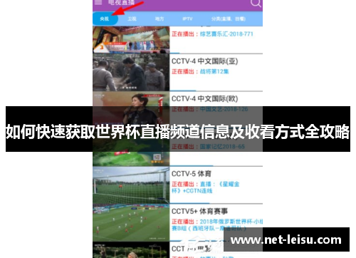 如何快速获取世界杯直播频道信息及收看方式全攻略