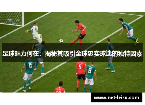 足球魅力何在：揭秘其吸引全球忠实球迷的独特因素